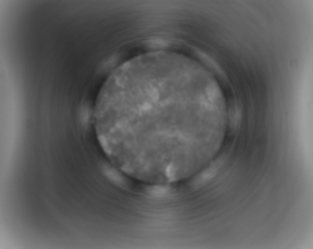 X0000112970574200910081048