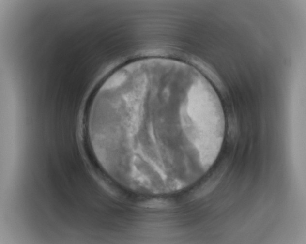 X0000112970578200910081047