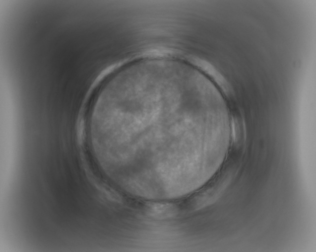 X0000112970579200910081047