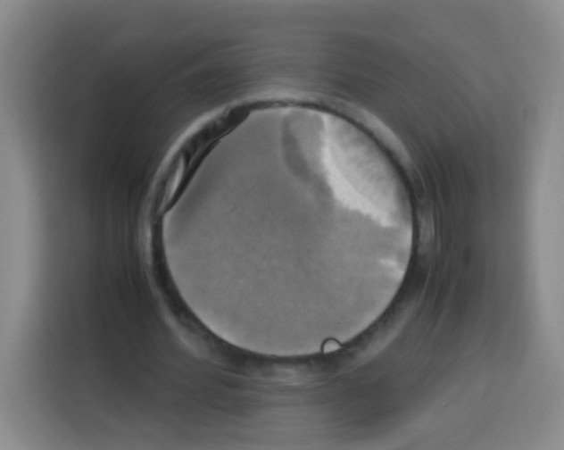 X0000112970580200910081047