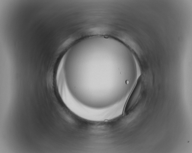 X0000112970581200910081047