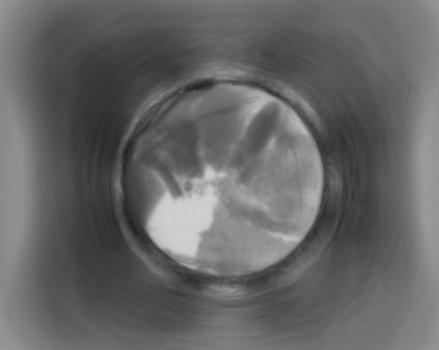 X0000112970582200910081047