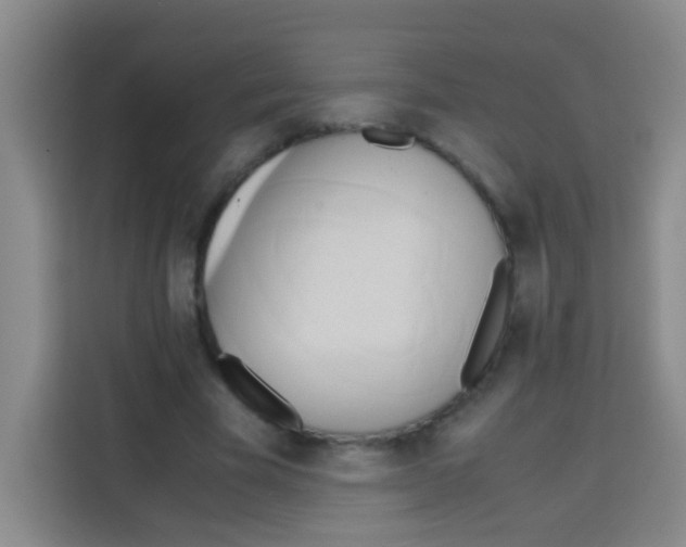 X0000112970585200910081047