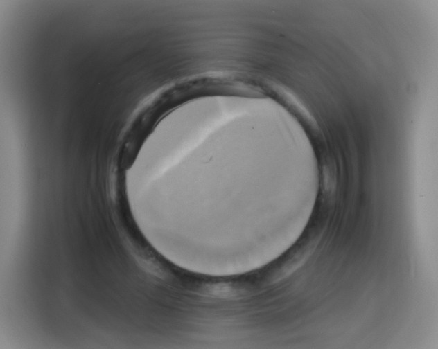 X0000112970588200910081047