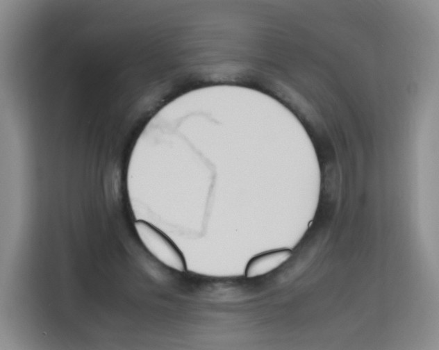 X0000112970589200910081047
