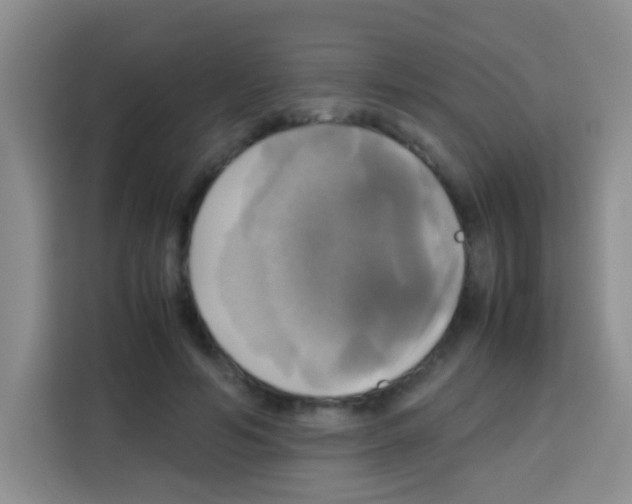 X0000112970594200910081047
