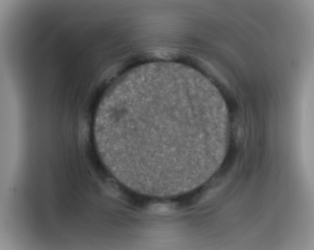 X0000112970595200910081047