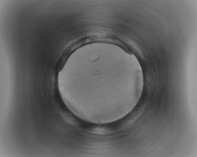 X0000112970596200910081047