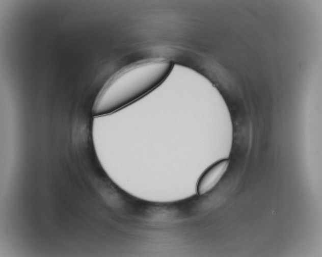 X0000112970597200910081047
