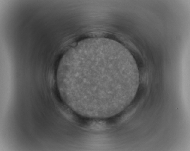 X0000112970599200910081047