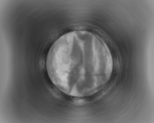 X0000112970602200910081047