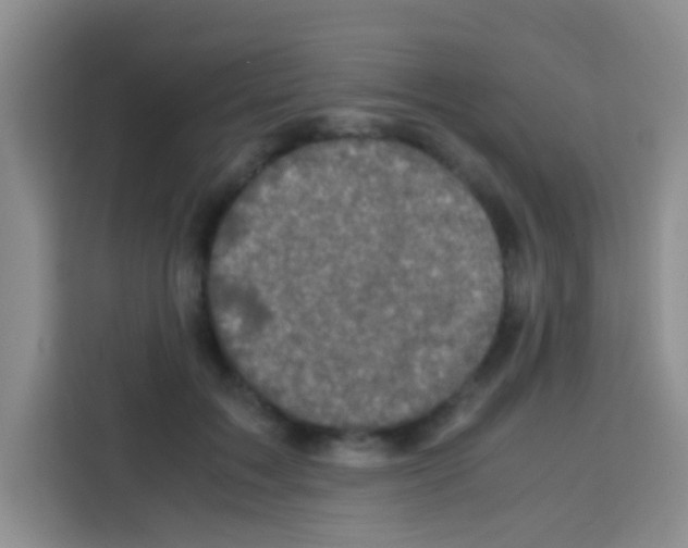 X0000112970603200910081047