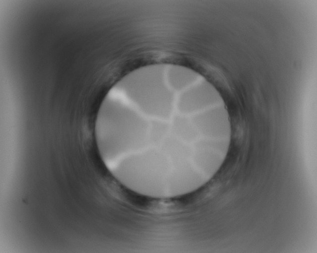 X0000112970607200910081047