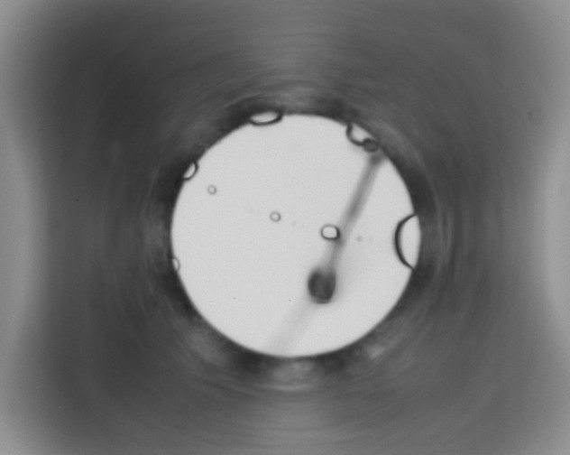 X0000112970609200910081047