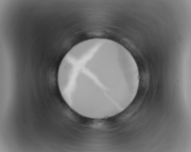 X0000112970612200910081047