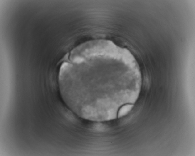X0000112970616200910081047