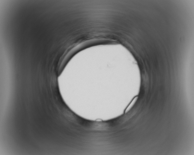 X0000112970617200910081047