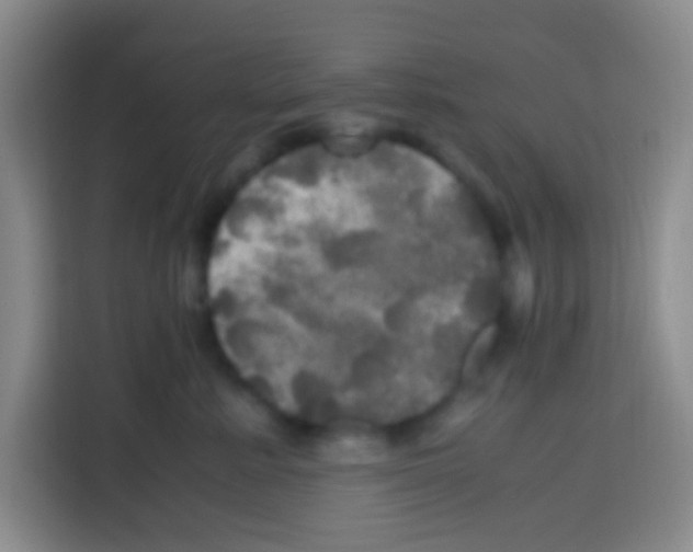 X0000112970619200910081047
