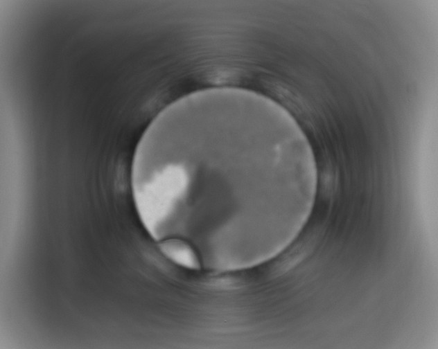 X0000112970620200910081047