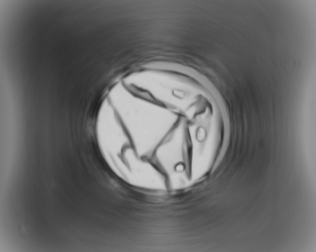 X0000112970621200910081047