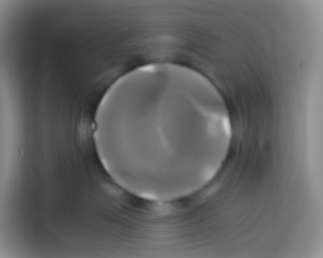 X0000112970623200910081047