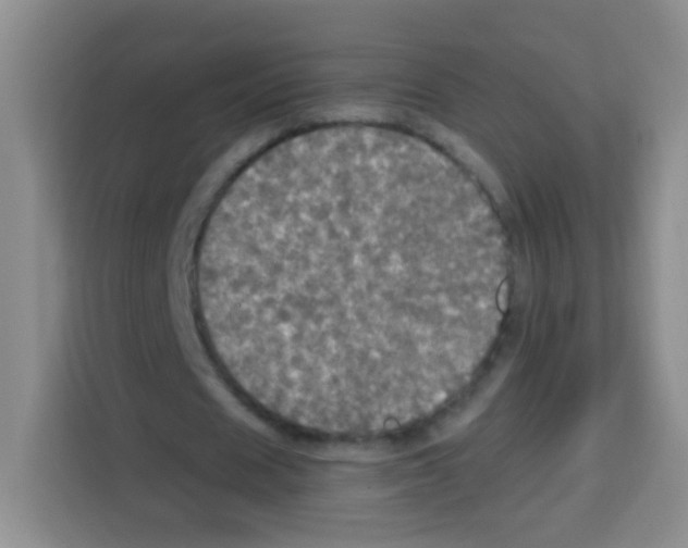 X0000112970625200910081046