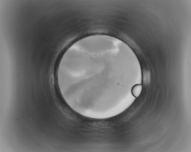 X0000112970627200910081046