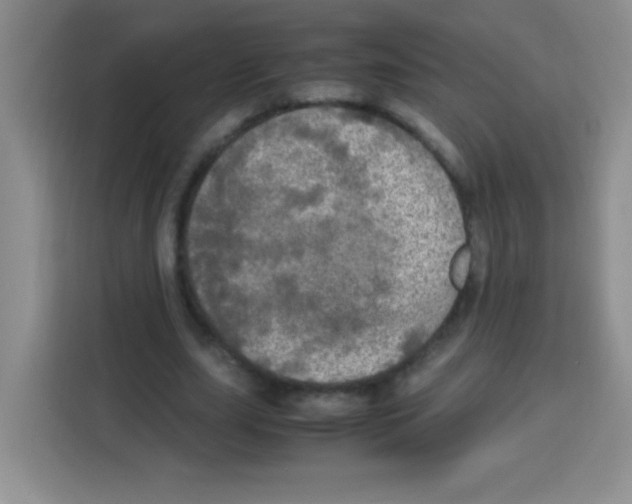 X0000112970631200910081046