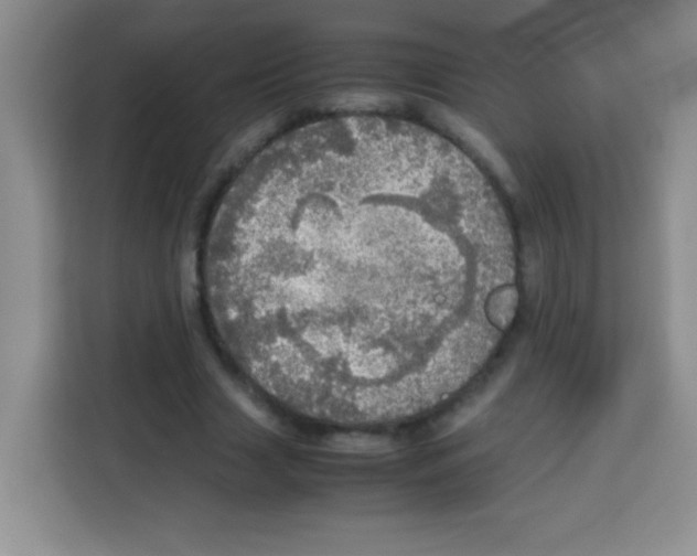 X0000112970633200910081046
