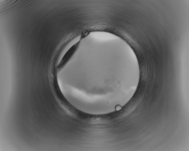 X0000112970634200910081046