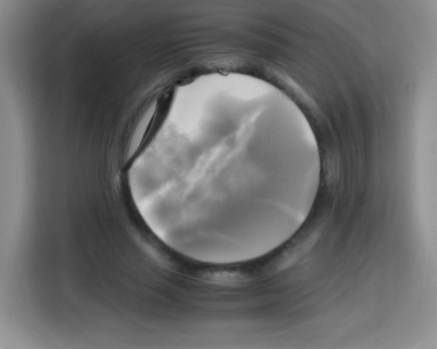 X0000112970637200910081046
