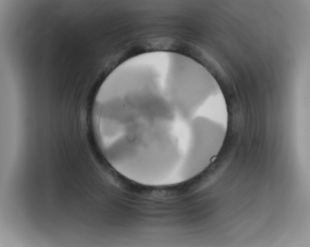 X0000112970641200910081046