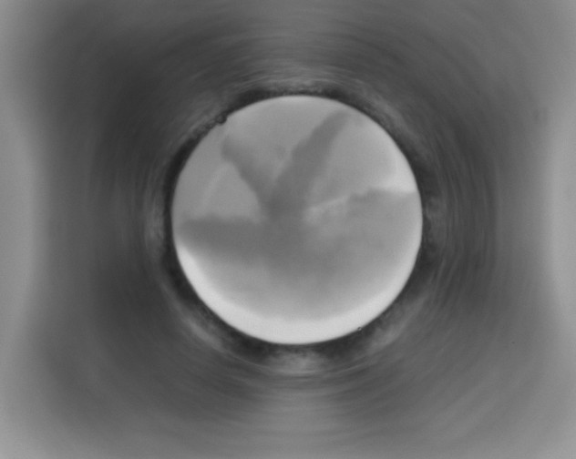 X0000112970642200910081046