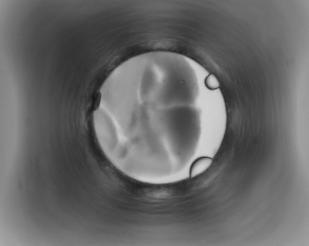 X0000112970643200910081046