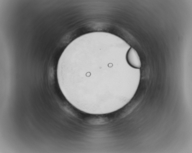 X0000112970646200910081046