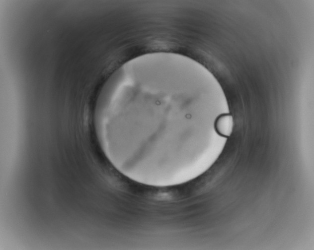 X0000112970647200910081046
