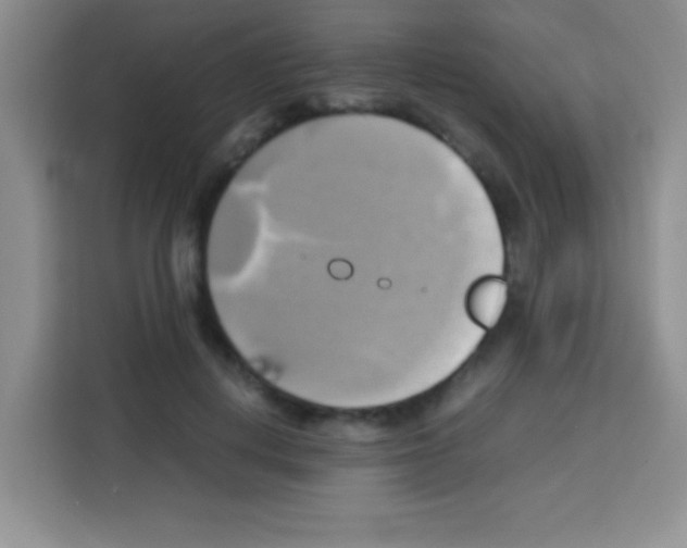X0000112970648200910081046