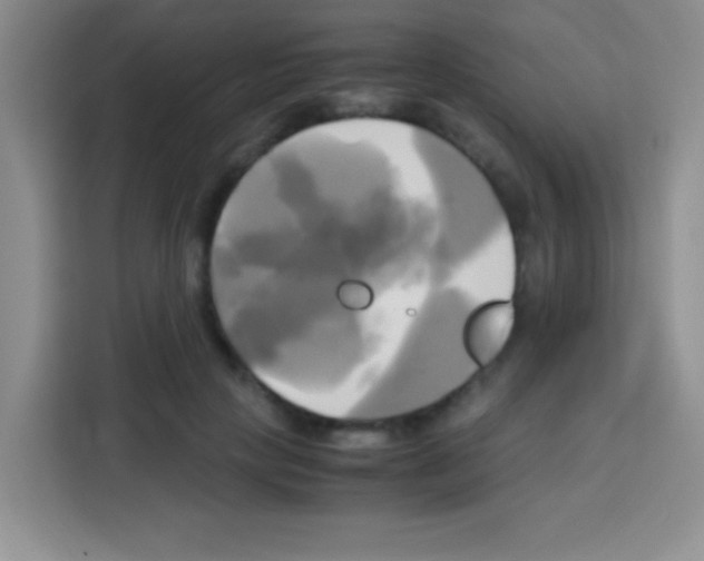 X0000112970649200910081046