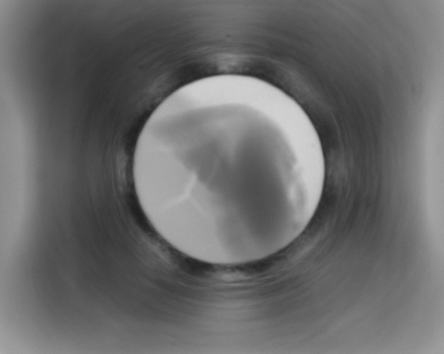 X0000112970650200910081046