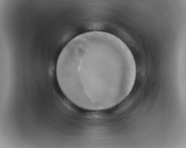 X0000112970652200910081046
