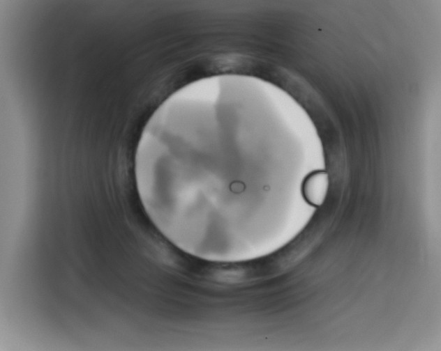 X0000112970653200910081046
