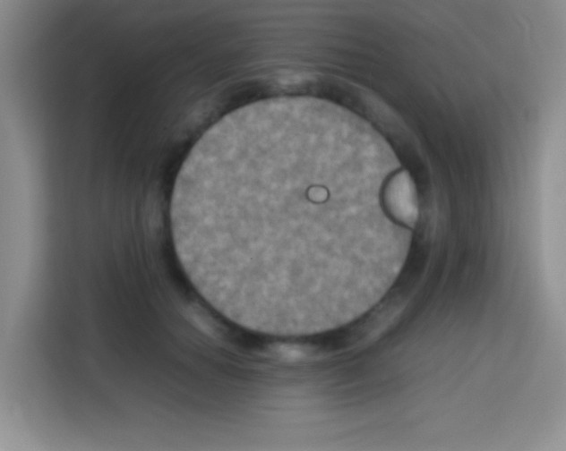 X0000112970654200910081046