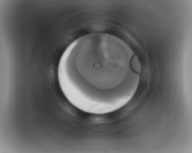 X0000112970655200910081046