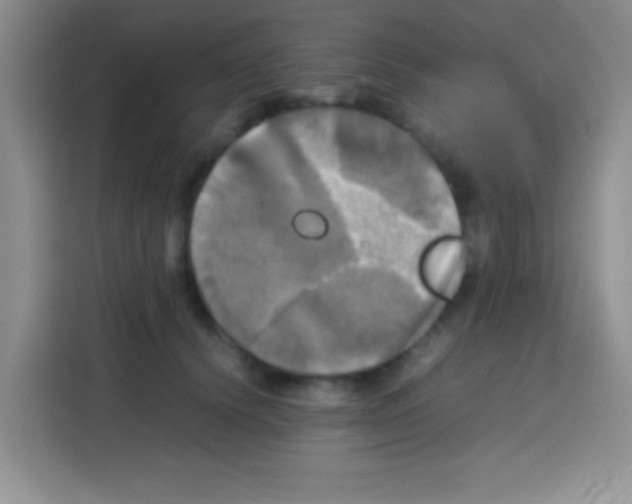 X0000112970656200910081046