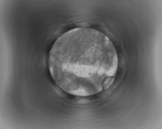 X0000112970658200910081046