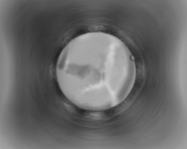 X0000112970659200910081046