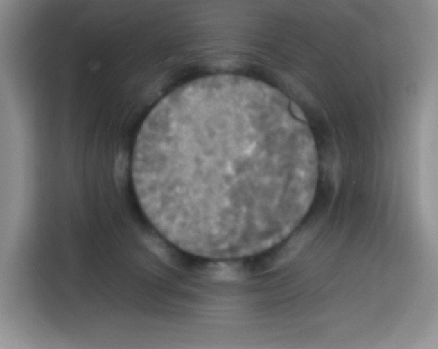 X0000112970660200910081046