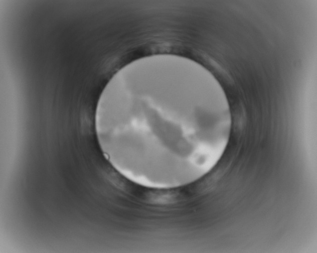 X0000112970661200910081046