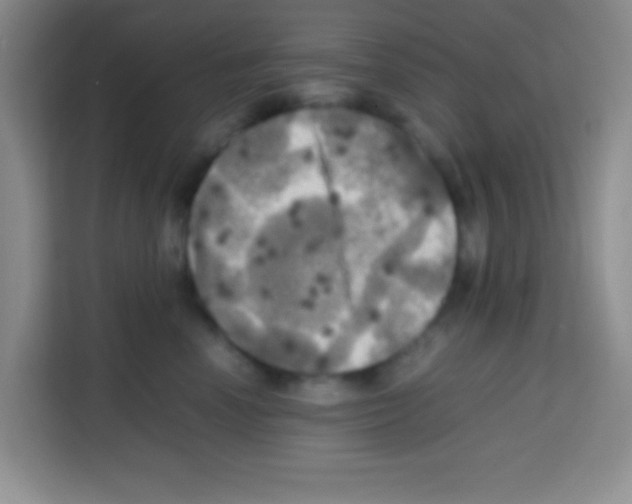 X0000112970666200910081046