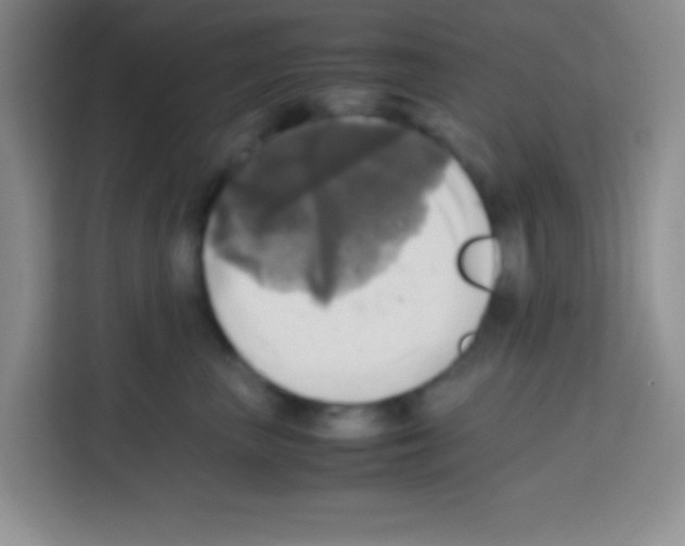 X0000112970667200910081046